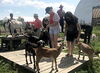 Institute explores the relationship between humans and animals