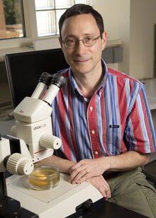 Phil Newmark