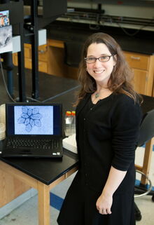Photo courtesy of EurekAlert!